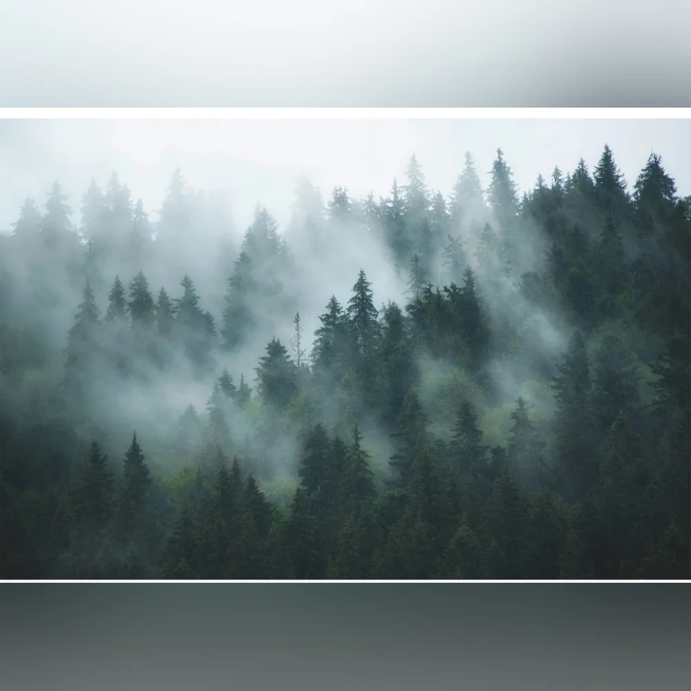 Green Misty Forest Wallpaper Mural - Removable Wallpaper (Peel & Stick)